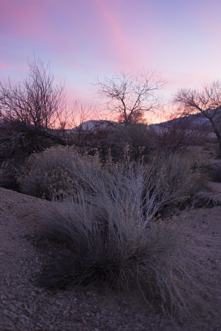 Quelque part entre la Sierra Nevada et Death Valley National Park, California